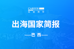 PG GO GLOBAL | 巴西国家简报