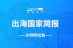 PG GO GLOBAL | 沙特阿拉伯国家简报